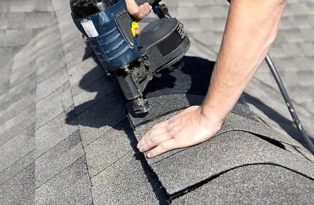 Best Roof Moss and Algae Removal  in Lockport, IL